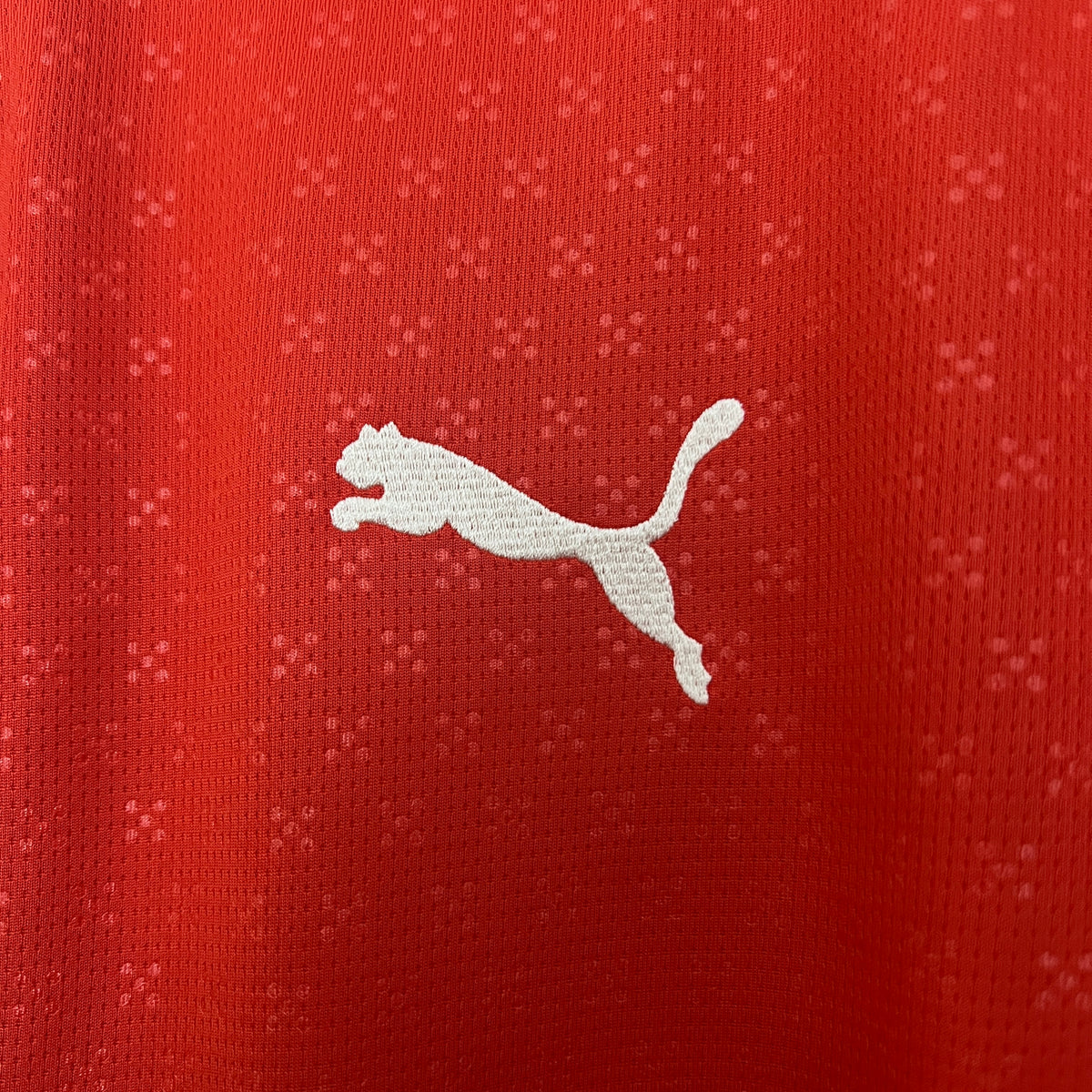 Camiseta Portugal Local 2025/26 Versión Fan