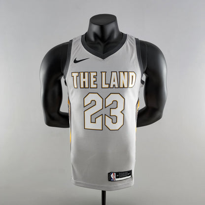 Camiseta Cleveland Cavaliers "The Land" Gris