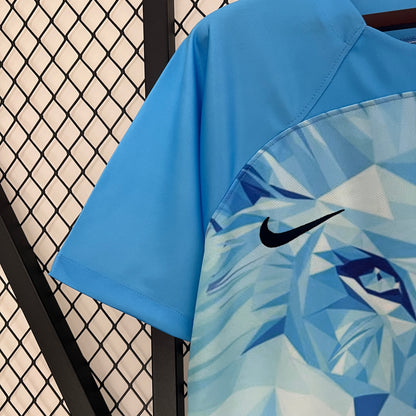 Camiseta Países Bajos Edición Especial León 2024 Versión Fan
