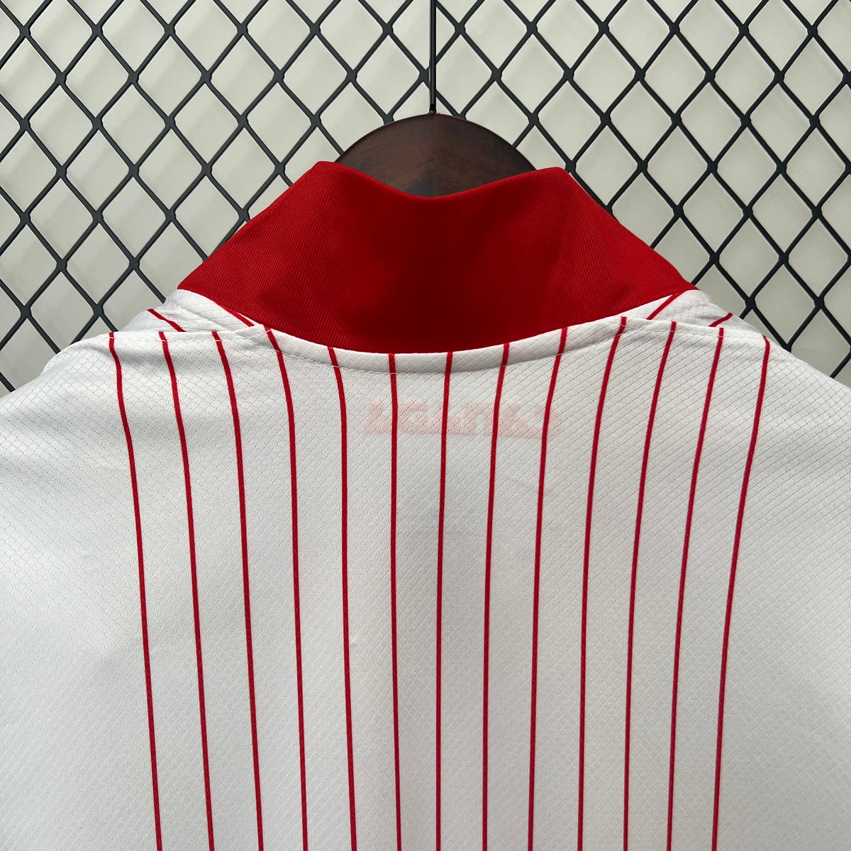 Camiseta Canadá Visita 2024 Versión Fan