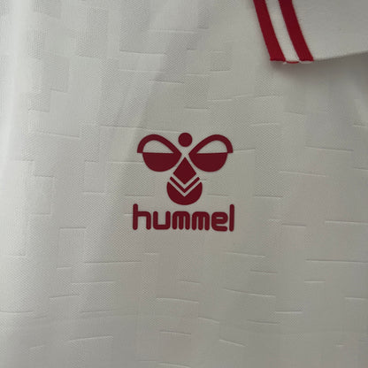 Camiseta Dinamarca Visita 2024 Versión Fan