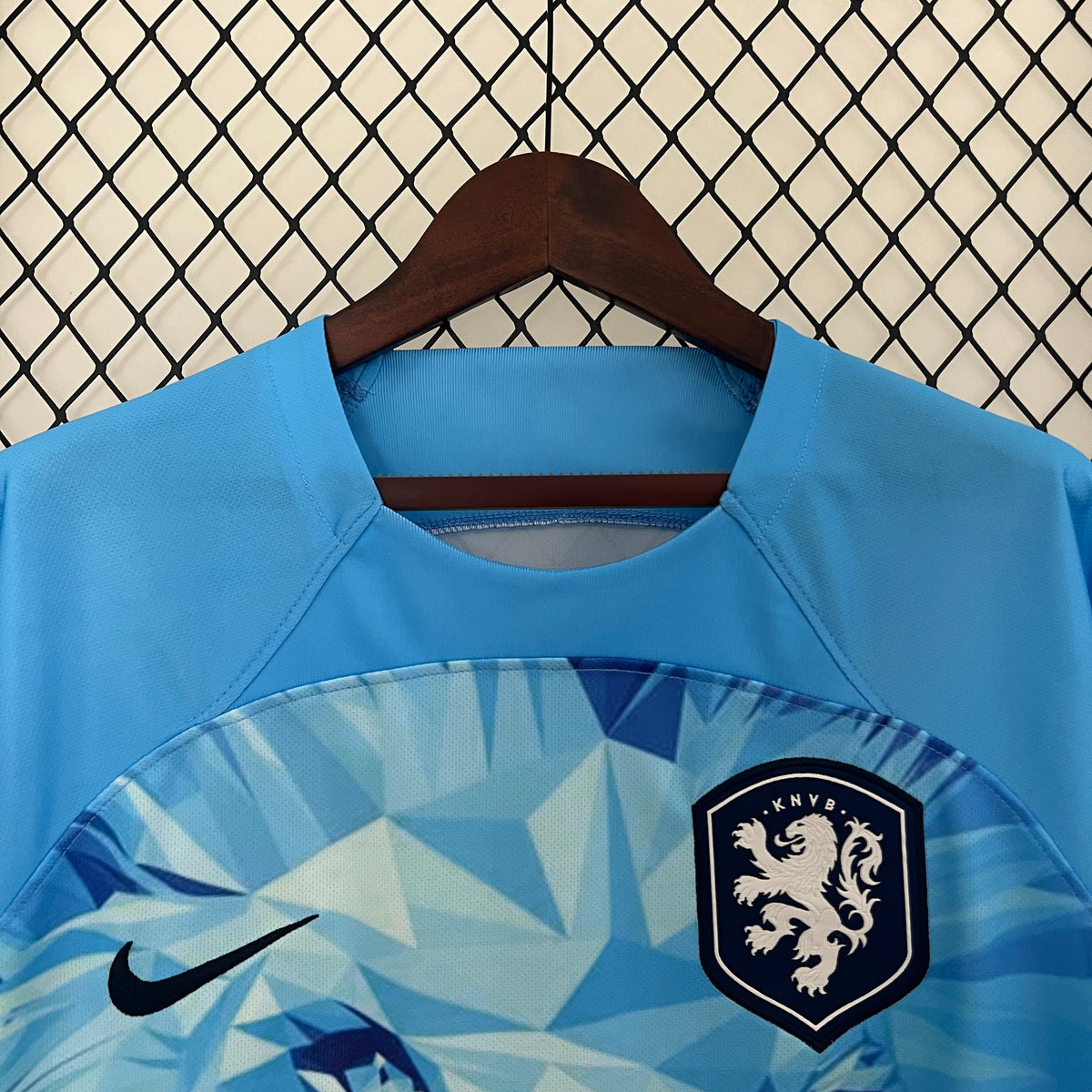 Camiseta Países Bajos Edición Especial León 2024 Versión Fan