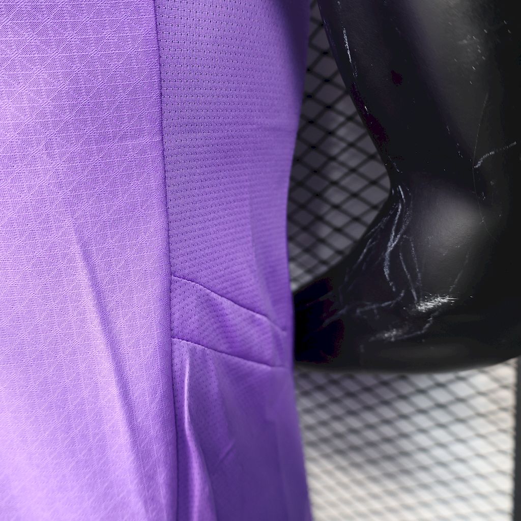 Camiseta Borussia Dortmund Portero Morado 2024/25 Versión Jugador
