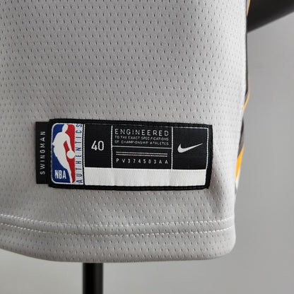 Camiseta Cleveland Cavaliers "The Land" Gris