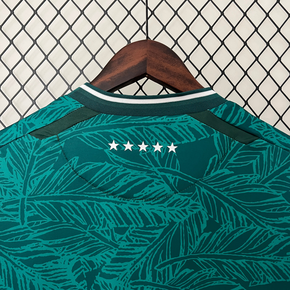 Camiseta Santiago Wanderers Local 2024 Versión Fan