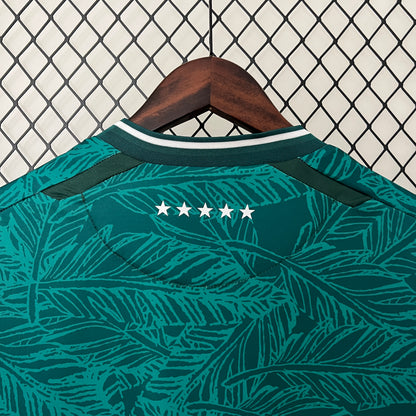 Camiseta Santiago Wanderers Local 2024 Versión Fan