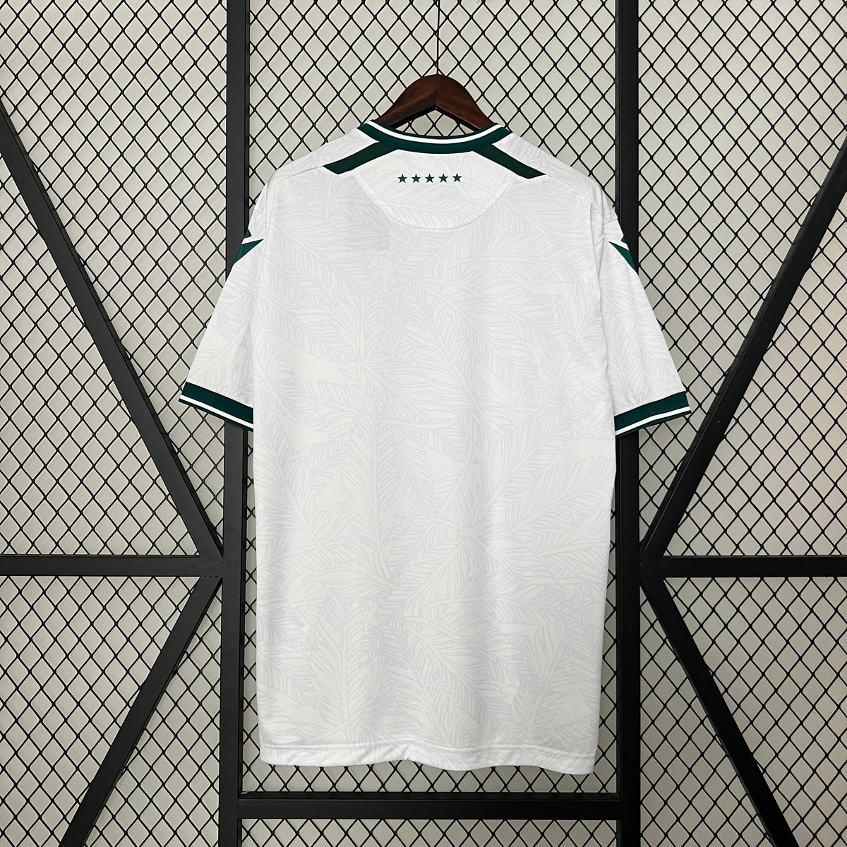Camiseta Santiago Wanderers Visita 2024 Versión Fan