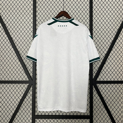 Camiseta Santiago Wanderers Visita 2024 Versión Fan