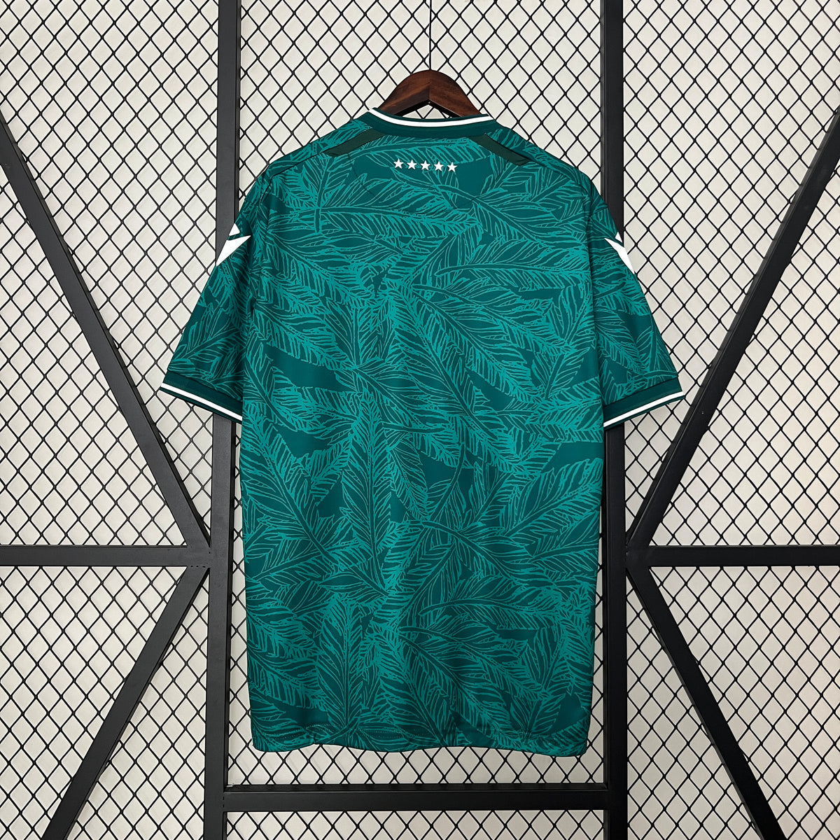 Camiseta Santiago Wanderers Local 2024 Versión Fan