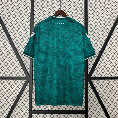 Camiseta Santiago Wanderers Local 2024 Versión Fan