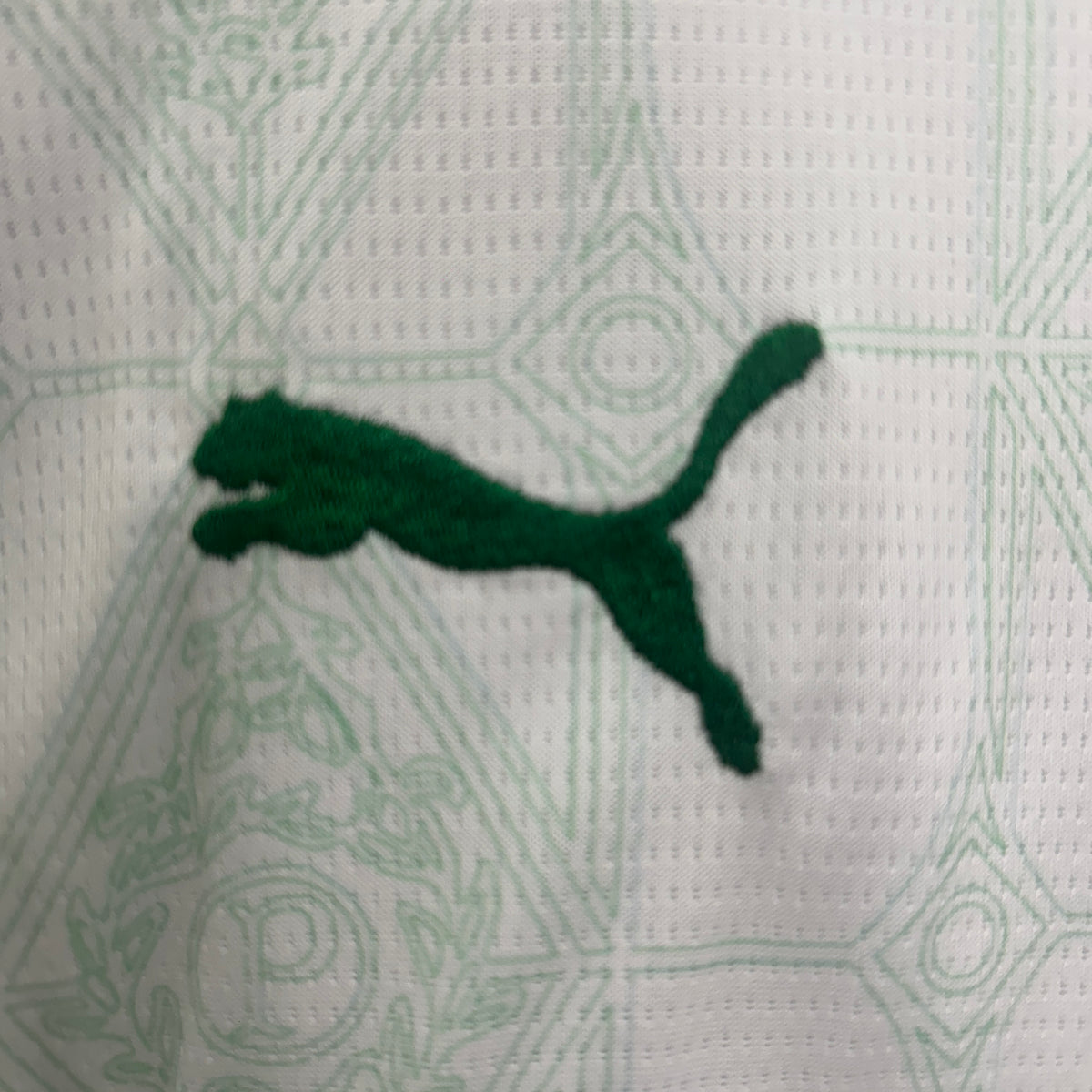 Palmeiras Kit Niño Visita 2025/26