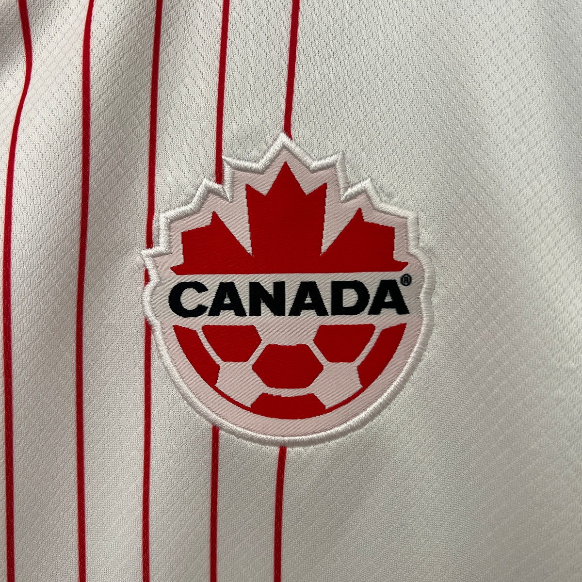 Camiseta Canadá Visita 2024 Versión Fan