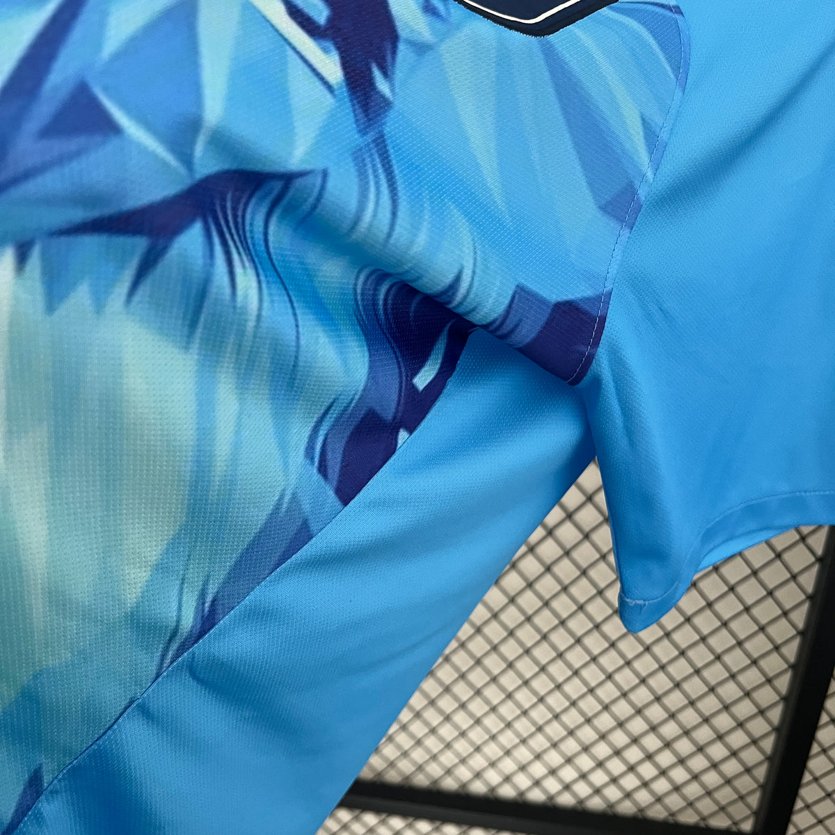 Camiseta Países Bajos Edición Especial León 2024 Versión Fan
