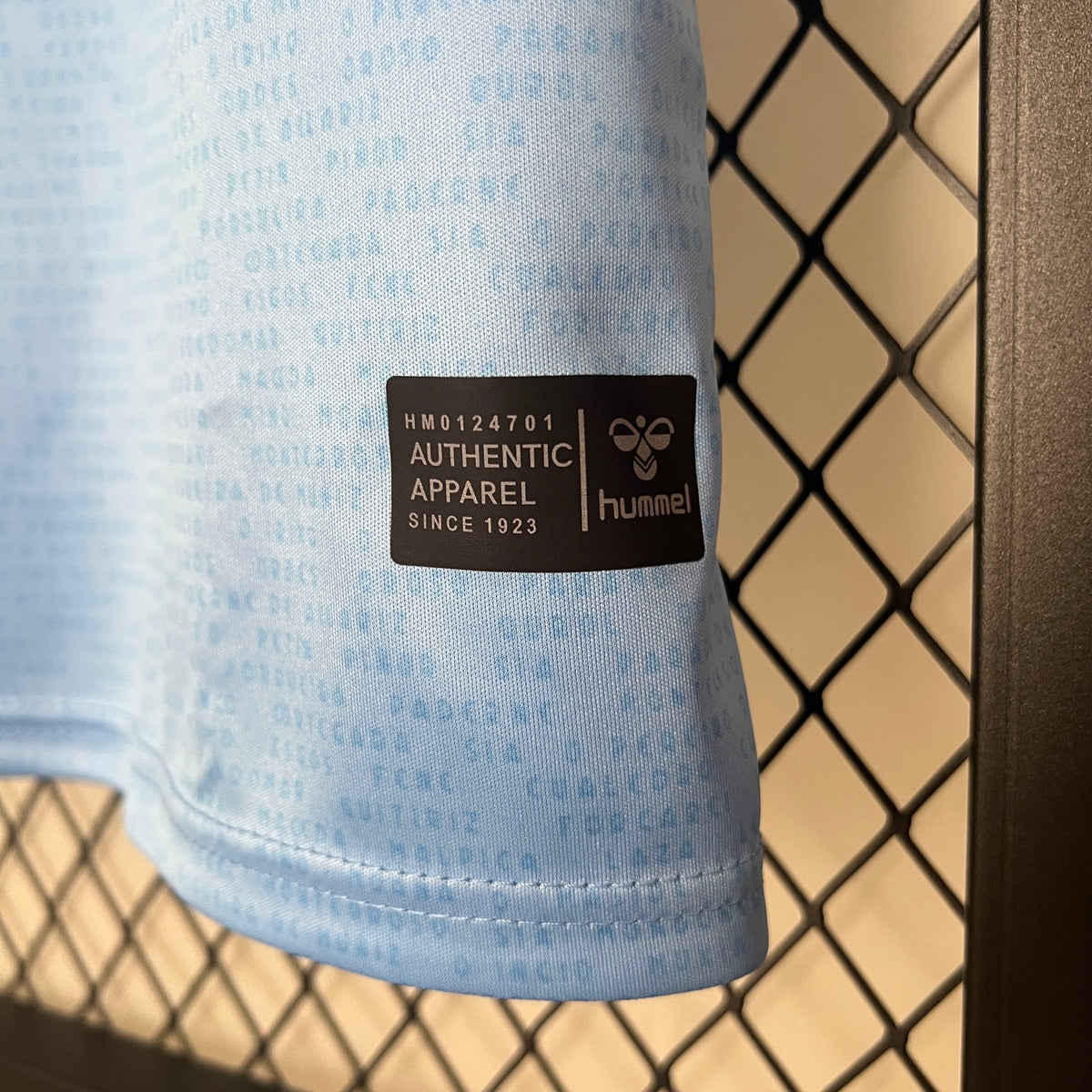 Camiseta Celta De Vigo Local 2024/25 Versión Fan