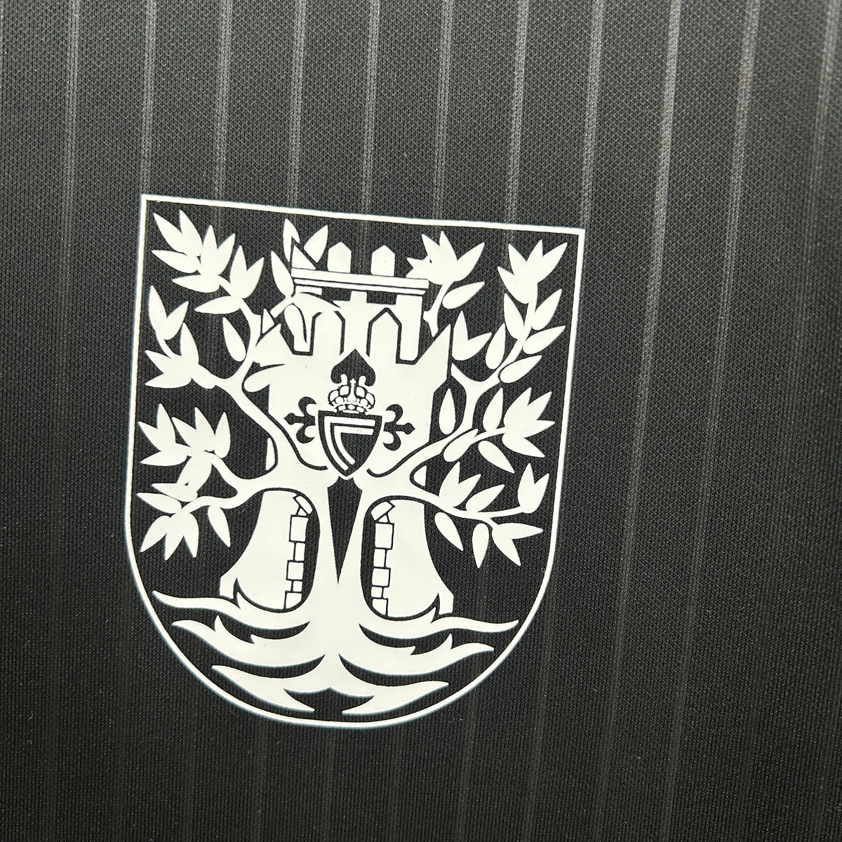 Camiseta Celta De Vigo 100th Aniversario 2025/26 Versión Fan
