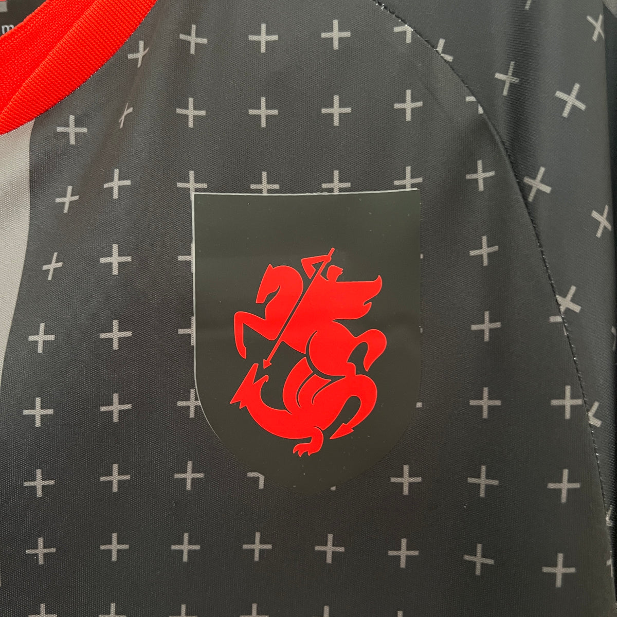 Camiseta Georgia Visita 2024 Versión Fan