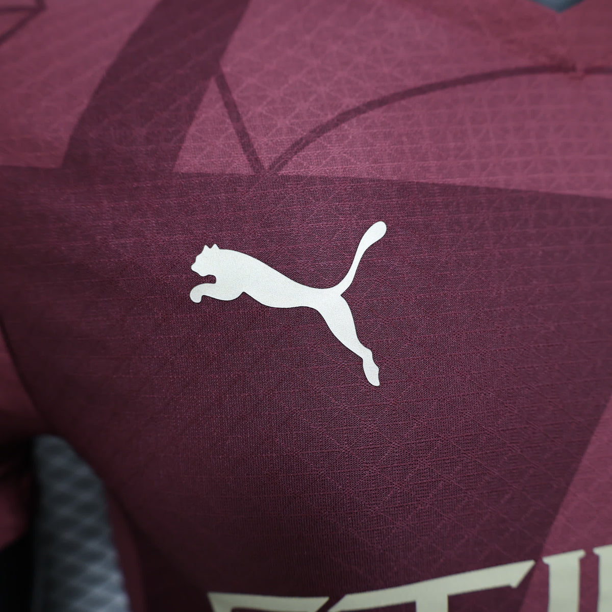 Camiseta Manchester City Tercera 2024/25 Versión Jugador