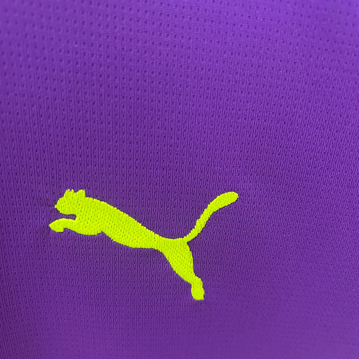 Camiseta Borussia Dortmund Portero Morado 2024/25 Versión Fan