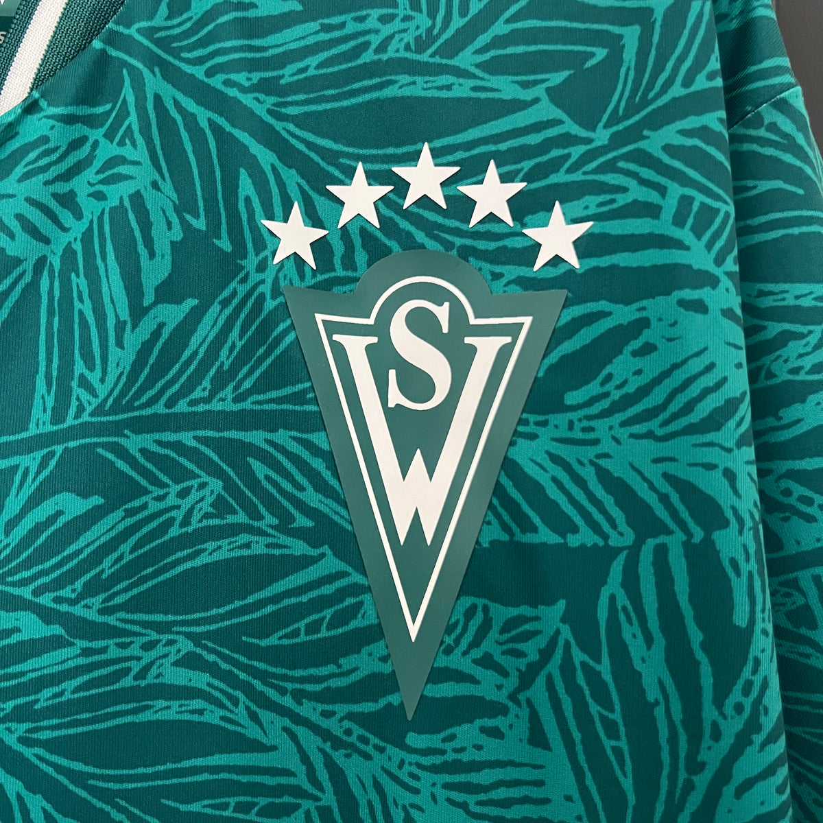 Camiseta Santiago Wanderers Local 2024 Versión Fan