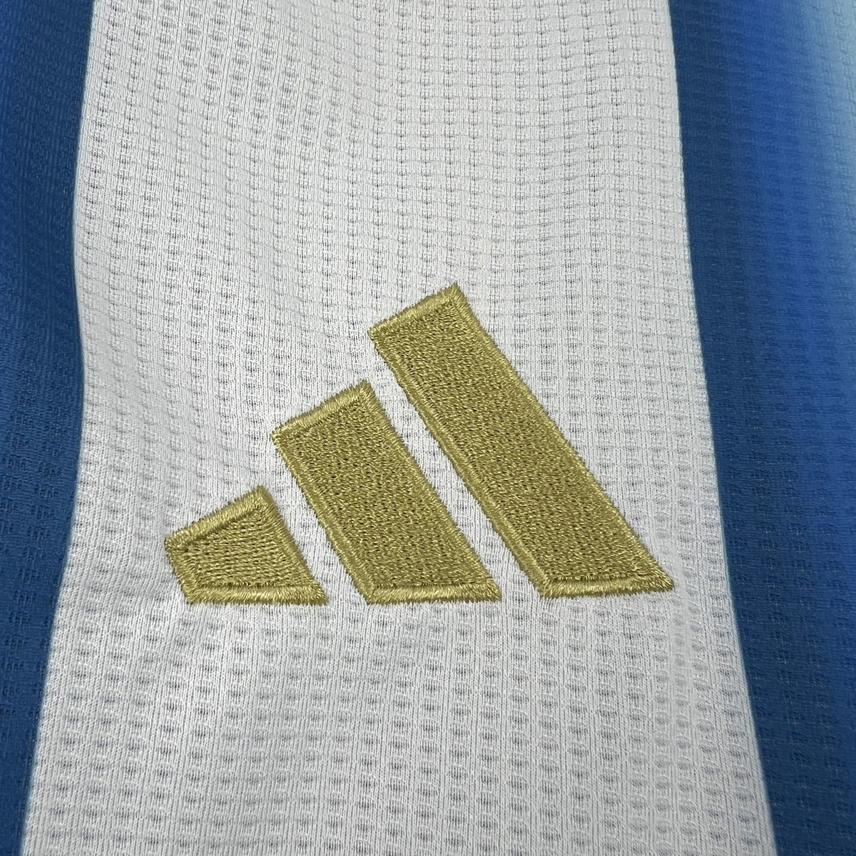Camiseta Argentina Local 2025/26 Versión Fan