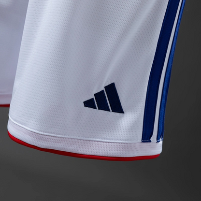 Japon 2026/27 Local Shorts