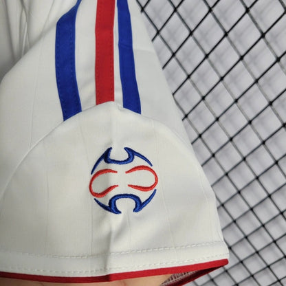 Camiseta Francia Visita Retro 2006 Versión Fan