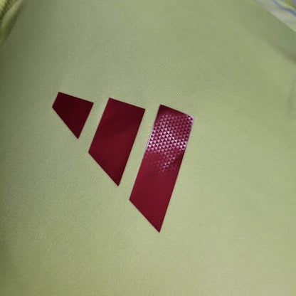 Camiseta España Visita 2024/25 Versión Jugador